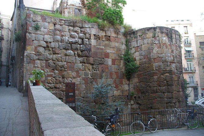 walking-tour-of-the-gothic-quarter-of-barcelona-cathedral