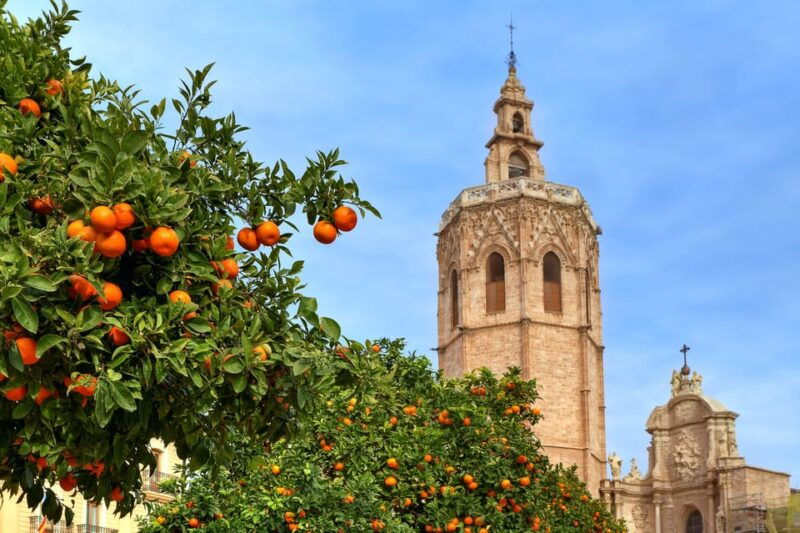 walking-tour-through-valencias-historic-centre