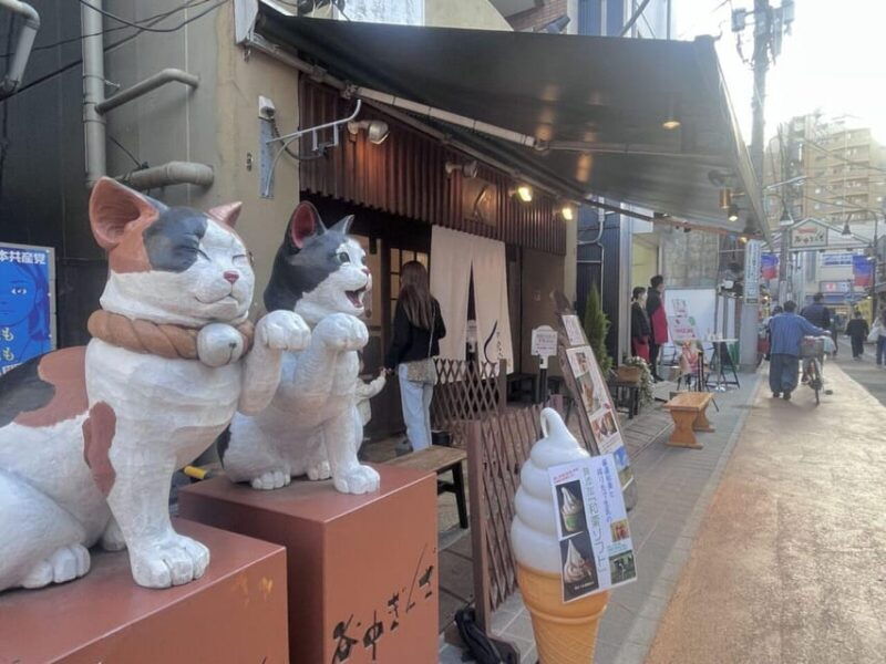 walking-tour-yanakanezu-sendagi-tea-ceremony-old-tokyo