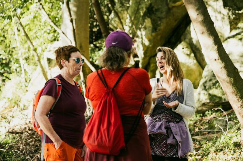 walking-tourpena-palace-moorish-castlequinta-da-regaleira