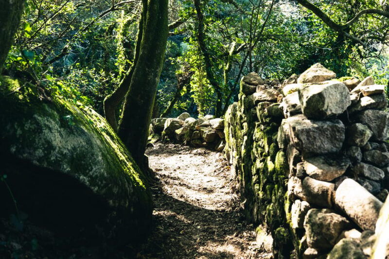 walking-tourpena-palace-moorish-castlequinta-da-regaleira