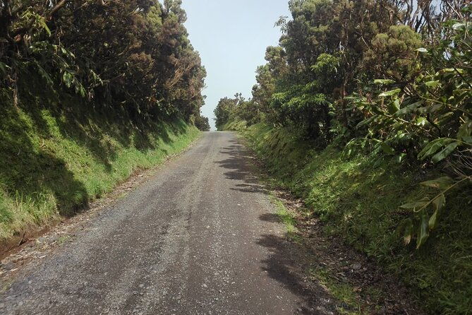 walking-trail-tasting-session-and-kayaking