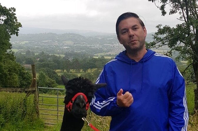 walking-with-alpacas