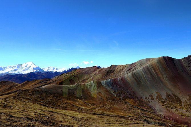 walking-with-alpacas-in-palcoyo-the-alternative-rainbow-mountain