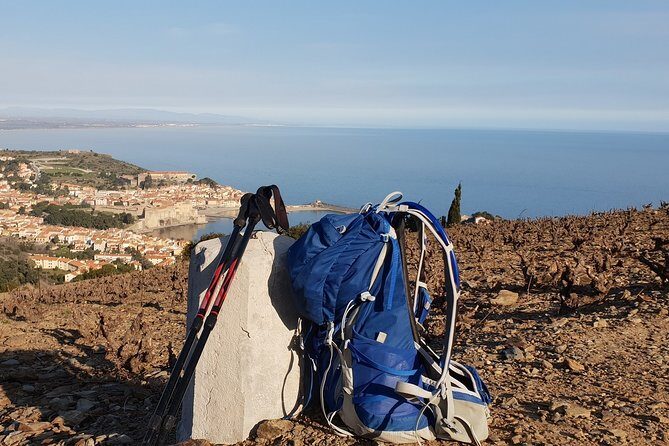 Walks in the heart of the secret vineyards around Collioure, tastings - Exploring the Secret Vineyards around Collioure: A Walk and Tasting Experience