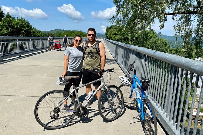 Walkway Over the Hudson & Winery Tour w/ Private Transport - Cost and Value Analysis