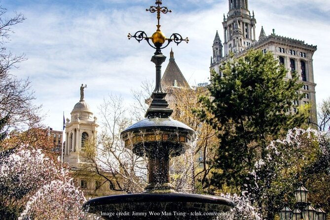 wall-street-the-financial-district-private-2-5-hr-walking-tour