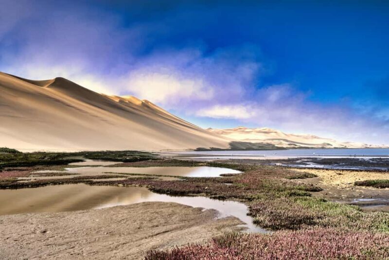 Walvis Bay: 5-Hour Sandwich Harbour Sunset Photography Tour - Final Thoughts