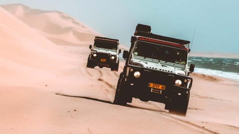 Walvis Bay: Dolphin Cruise, Pink Lakes and 4x4 Dune Drive - Key Points