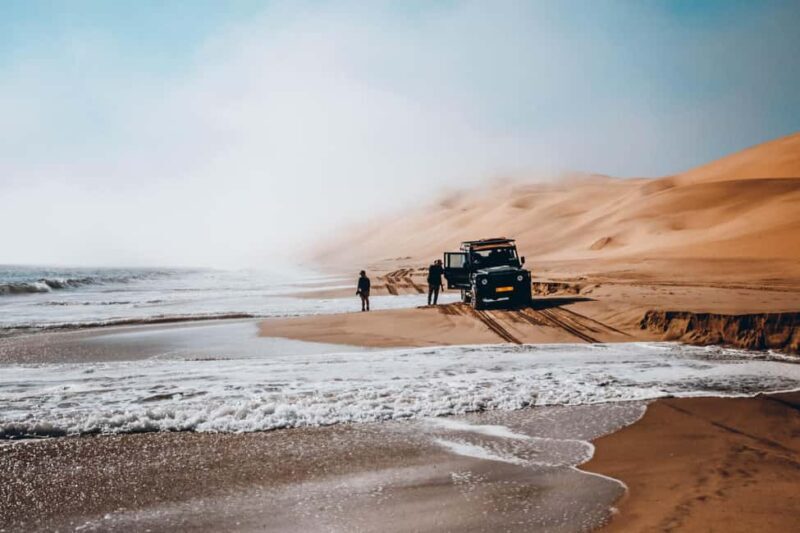 Walvis Bay: Dolphin Cruise, Pink Lakes and 4x4 Dune Drive - Practical Details and What To Expect