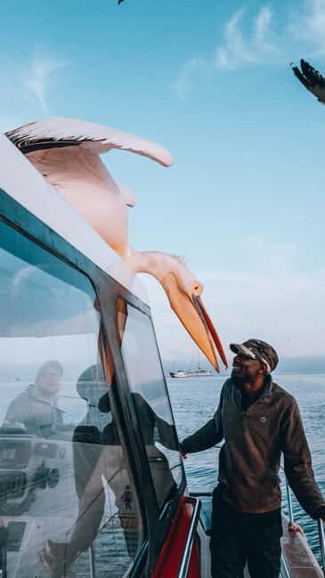Walvis Bay: Dolphin Cruise, Pink Lakes and 4x4 Dune Drive - FAQ