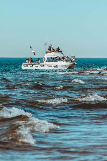 Walvis Bay: Namibian Coast Dolphin Cruise with Light Lunch - Key Points