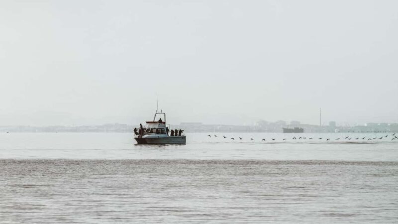 Walvis Bay: Namibian Coast Dolphin Cruise with Light Lunch - Practicalities and What to Know