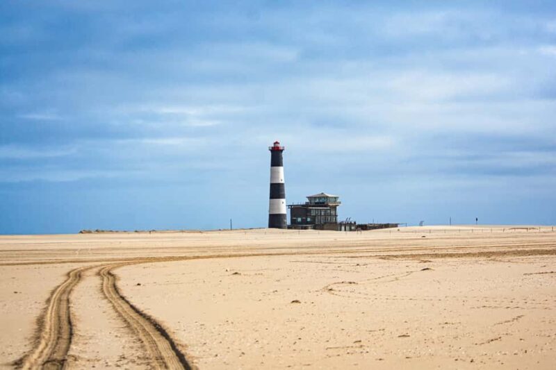 Walvis Bay : Pelican Point Birding and Cape Fur seal tour - Key Points