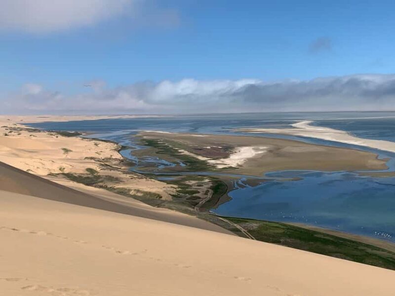 Walvis Bay: Pelican Point Seal and Sandwich Harbour Tour - Key Points