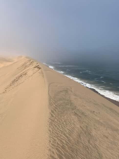 Walvis Bay: Pelican Point Seal and Sandwich Harbour Tour - What Is This Tour All About?