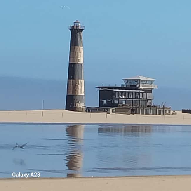 Walvis Bay: Pelican Point Seal and Sandwich Harbour Tour - Authentic Experiences from Past Travelers