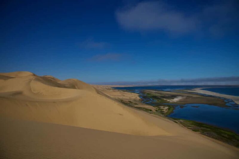 Walvis Bay: Sandwich Harbour Half-Day 4x4 Scenic Excursion - Key Points