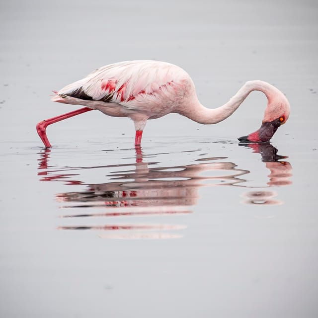 walvis-bay-sandwich-harbour-half-day-4x4-scenic-excursion