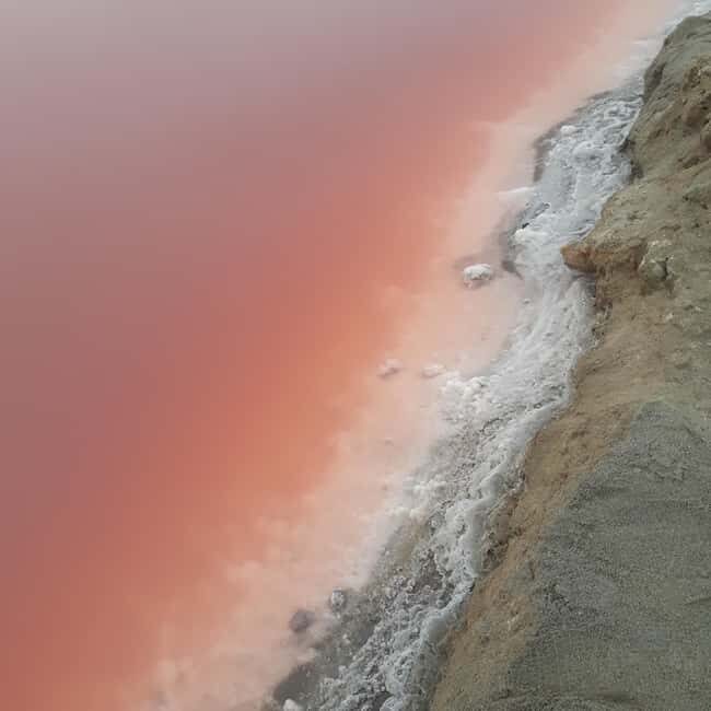 Walvis Bay: Scenic Sandwich Harbour Tour - Walvis Bay: Scenic Sandwich Harbour Tour — An Authentic Namibian Adventure