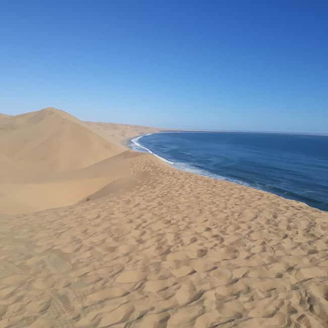 Walvis Bay: Scenic Sandwich Harbour Tour - Key Points