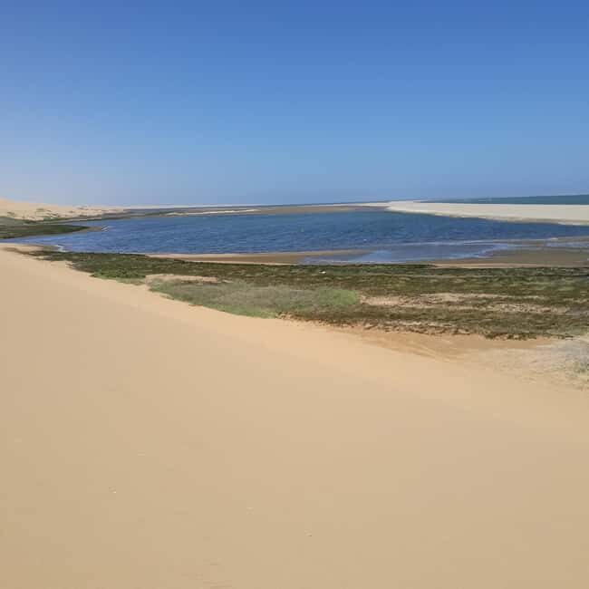 Walvis Bay: Scenic Sandwich Harbour Tour - Wildlife and Bird Watching in the Wetlands
