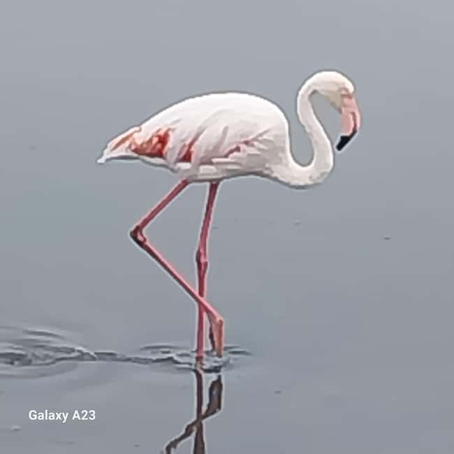 Walvis Bay: Scenic Sandwich Harbour Tour - Final Thoughts