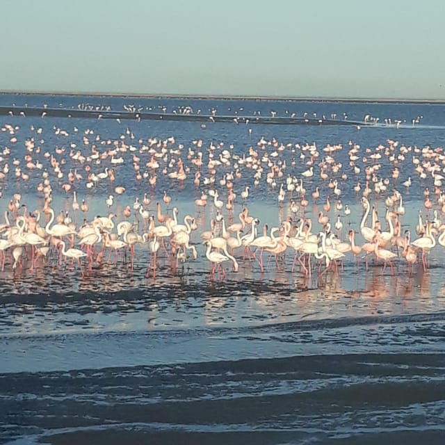 walvis-bay-scenic-sandwich-harbour-tour