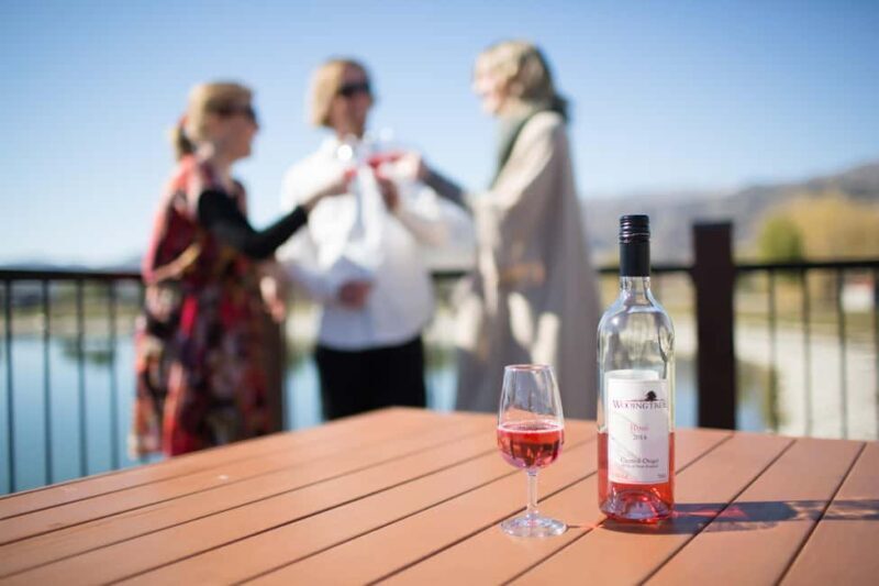 Wanaka: Afternoon Boutique Wine Tour - Key Points