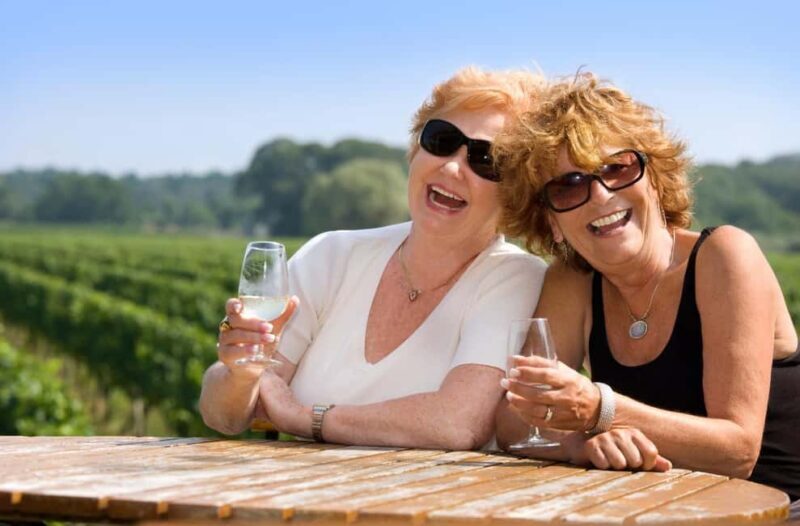 Wanaka: Full Day Classic Wine Tour with Lunch - Who Would Love This Tour?