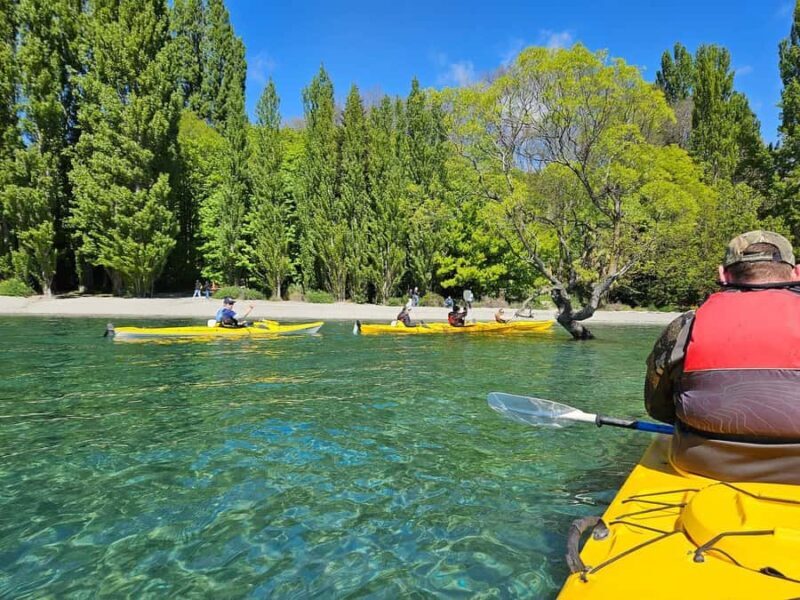 Wanaka: Lake Wanaka Guided Kayak Tour - Why a Kayak Tour on Lake Wanaka Is a Must-Do