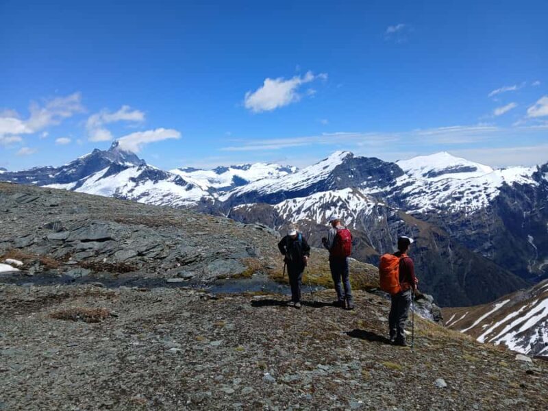 Wanaka: Private Alpine Heli-Hike - Key Points