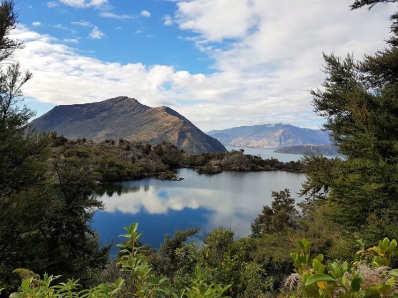Wanaka: Water Taxi & Mou Waho Island Tour - The Summit Viewpoint & Optional Swimming