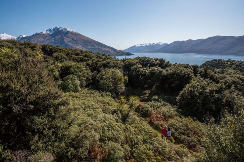 Wanaka: Water Taxi & Mou Waho Island Tour - Practical Details & What to Know Before You Go