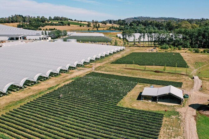 Wander the Tamar Valley - Exploring the Tamar Valley: A Full Breakdown