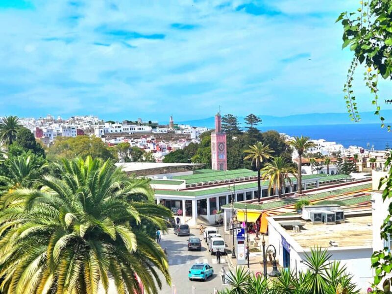 Wander the Wonders of Tangier: A Medina and Kasbah Journey - Who Should Consider This Tour?