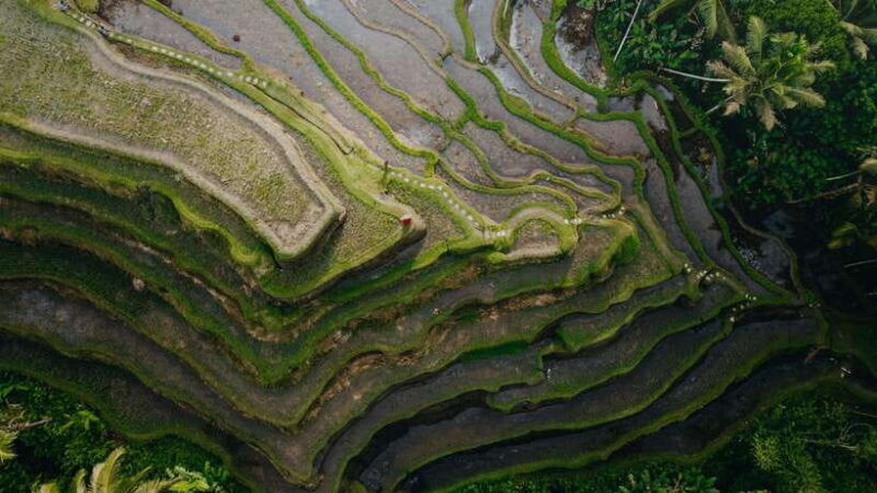 wanderlust-birthday-photo-and-video-with-drone-and-editing