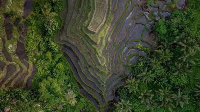 wanderlust-birthday-photo-and-video-with-drone-and-editing