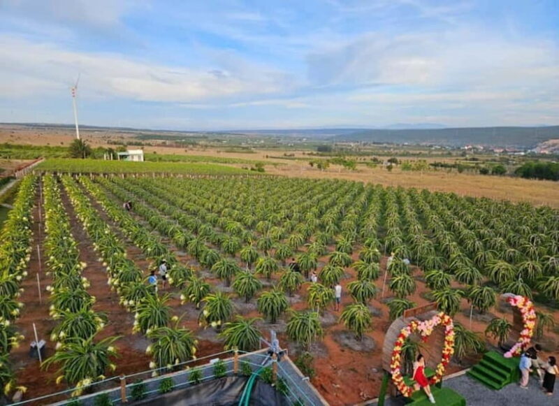 Wanderlust Mui Ne Tour: Sunset or Sunrise Shared Jeep Tour - Who Should Consider This Tour?