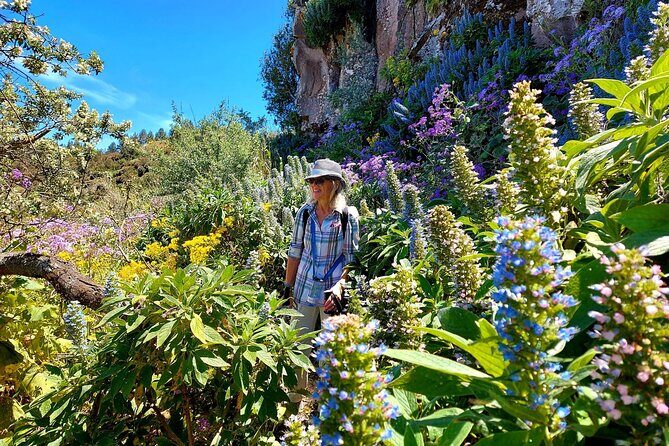 Wanderungen im grünen Gran Canaria - A Typical Day on the Trail