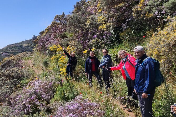 Wanderungen im grünen Gran Canaria - The Sum Up: Who Will Appreciate This Experience?
