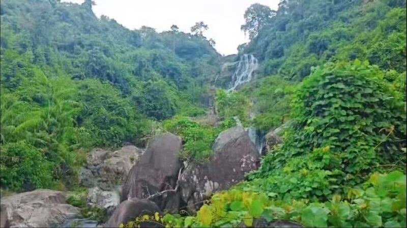 Wanning: Walking Tour in Xinglong Triangle Rainforest - The Experience from Reviews