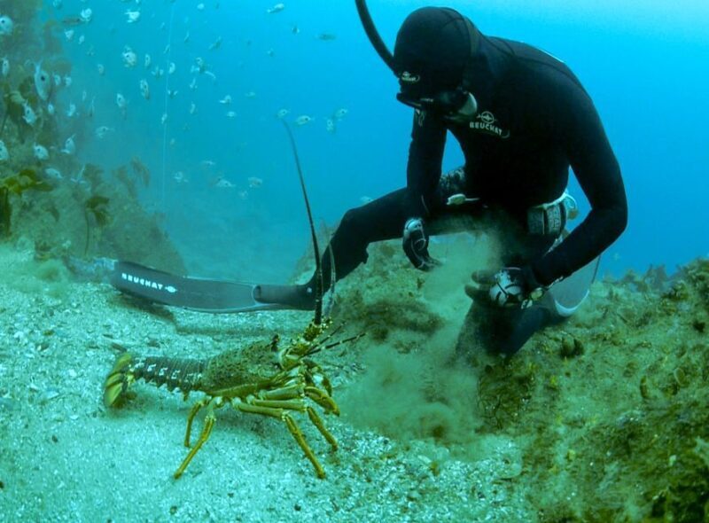 Warkworth: Full-Day Spearfishing Charter - Is This Tour Worth It?