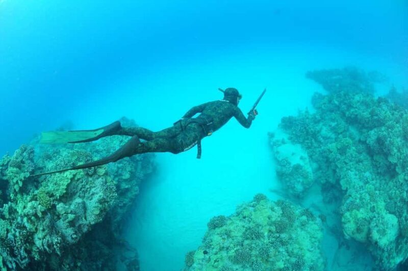 Warkworth: SSI Basic Freediving Course - Key Points