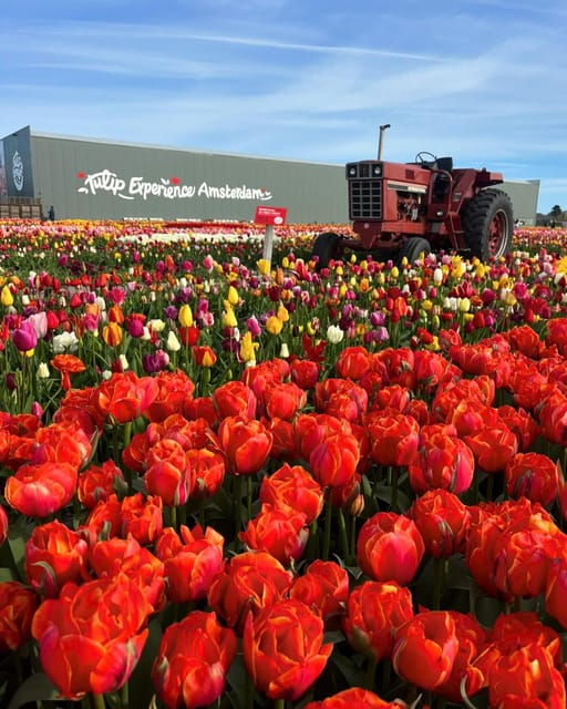 warmond-kagerplassen-cruise-with-tulip-experience-ticket