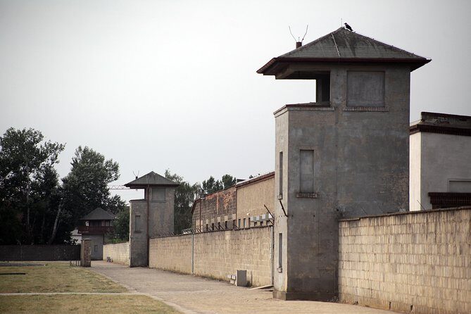 Warnemünde Shore Excursion: Private Sachsenhausen and Berlin Tour - Practical Aspects of the Tour