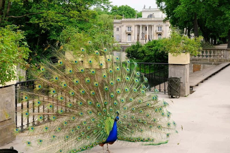 Warsaw Half-Day Private Panoramic Tour - The Value of a Half-Day Tour
