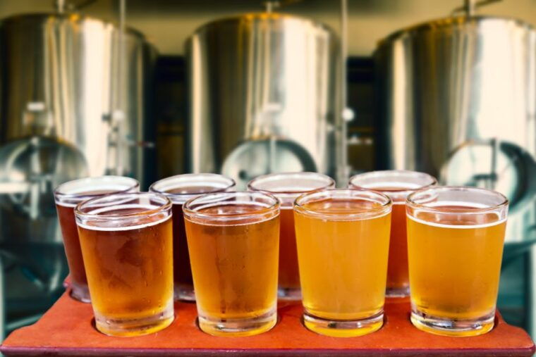 warsaw-private-polish-beer-tasting-tour-with-a-guide
