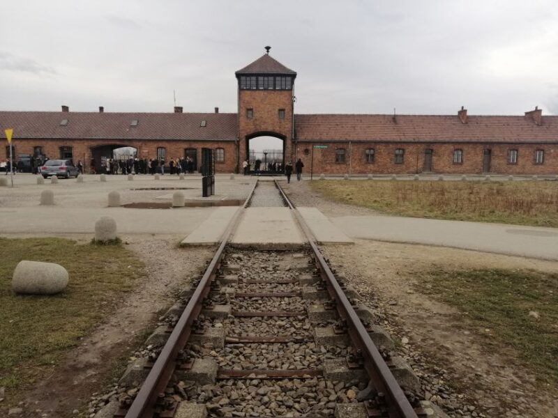 Warsaw: Tour to Krakow and Auschwitz by Train with Pickup - Key Points