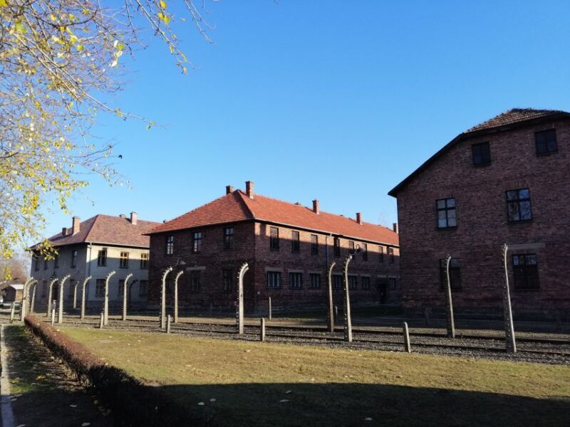 Warsaw: Tour to Krakow and Auschwitz by Train with Pickup - Authentic Feedback from Past Travelers
